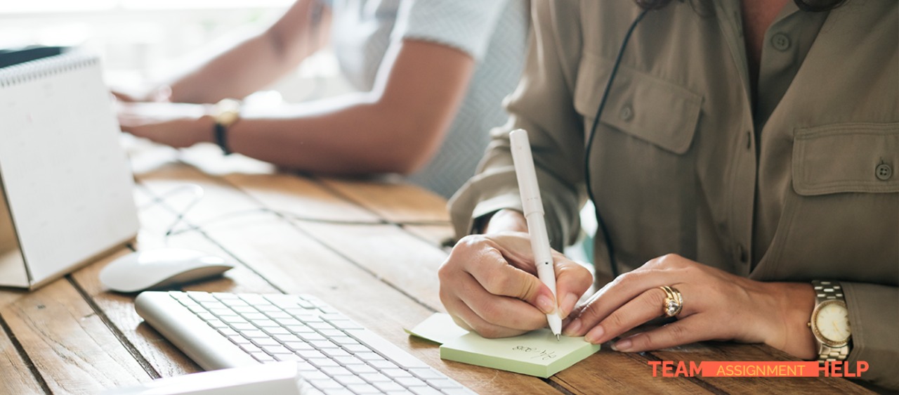 Assignment Help Online